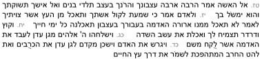 בראשית ג טז- יח כג- כד